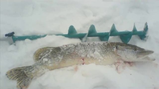 Секреты Профессиональной Креативности