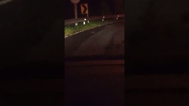 питон пхукет смотреть онлайн