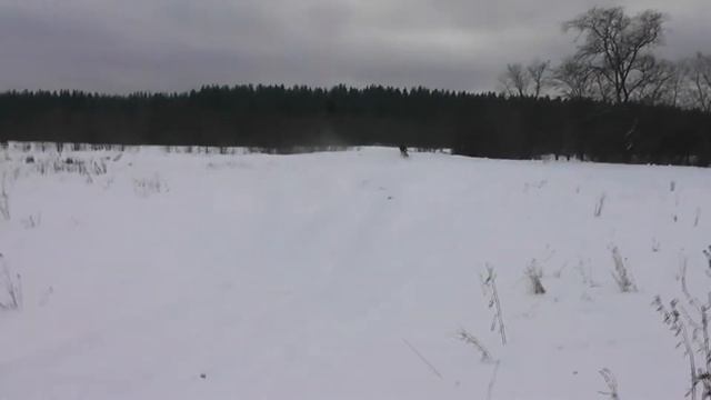 BRP SKI-DOO SKANDIC 550 SWT покатушка ( нарезка ) смотреть онлайн