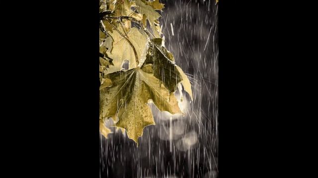 ФОНАРИ смотреть онлайн