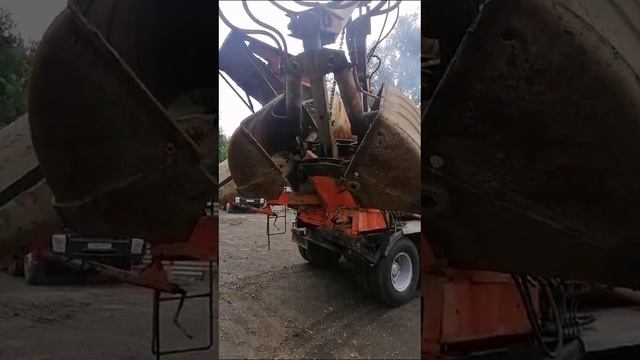 Видео WhatsApp 2024-09-05 в 13.18.06_dc01efdb