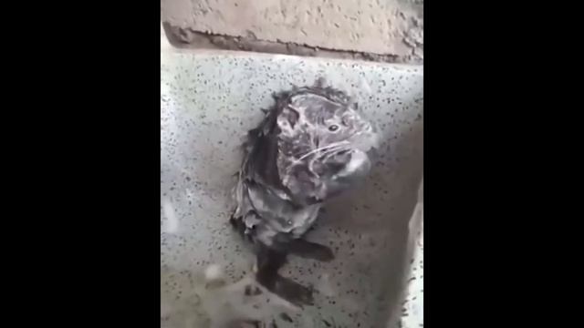 *free For Profit* Jersey Club Type Beat 