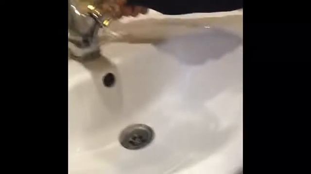 Ревизорро||ЗБСТ КАК ГРЯЗНО!||У ЕЛЕНЫ ЛЕТУЧЕЙ НОВАЯ ГОЛОВА!! смотреть онлайн