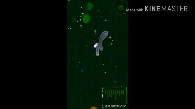 Wormax.io все лагает!🐺 смотреть онлайн