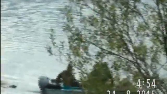 Игрим База кедр сивков смотреть онлайн