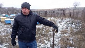 Павловния. Технический срез.