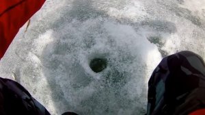 Ловля чебака на Аргазях в апреле.