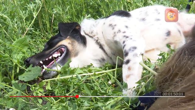 Хочу домой. Выпуск девятый