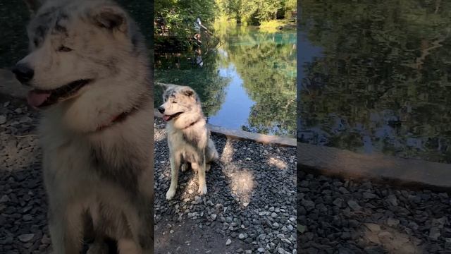 Любуюсь смотреть онлайн