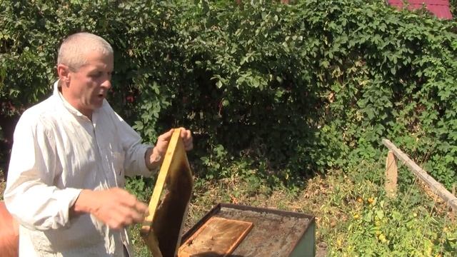 Солнечная воскотопка, рамки на 270мм, тележка для перевозки ульев. (пчеловодство на даче у Юрия) смотреть онлайн