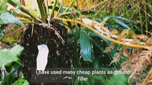 Ideas for Concreted Garden| Small Garden Ideas| DIY Garden Ideas for Tropical Jungle смотреть онлайн