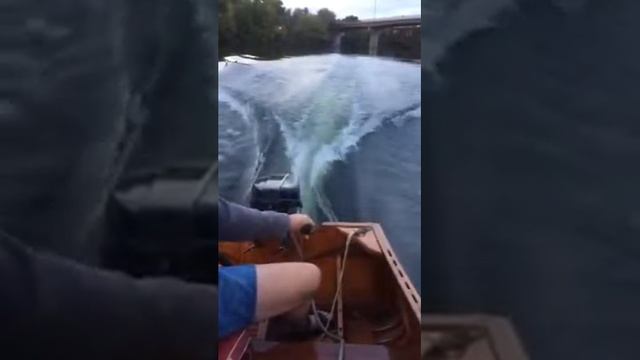 1987 Force 9.9 HP test run смотреть онлайн