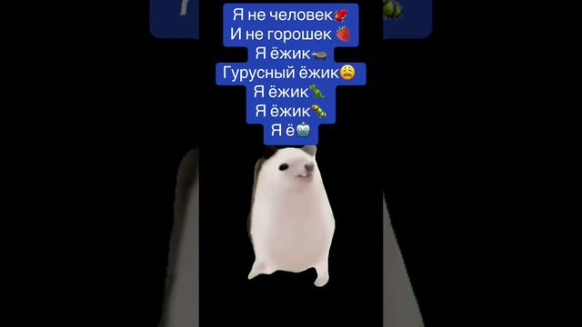 1000002194.mp4 смотреть онлайн