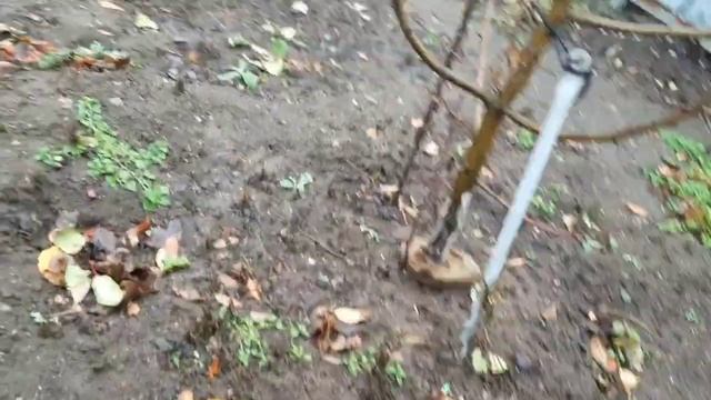 ~Влог с ночёвки у подруги + рум-тур~ смотреть онлайн