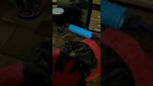 Как мужчины решают свои проблемы. смотреть онлайн