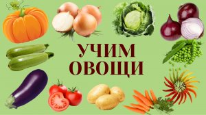 Овощи для детей. Развивающие мультики для малышей. Учим овощи. Познавательные мультфильмы для детей.