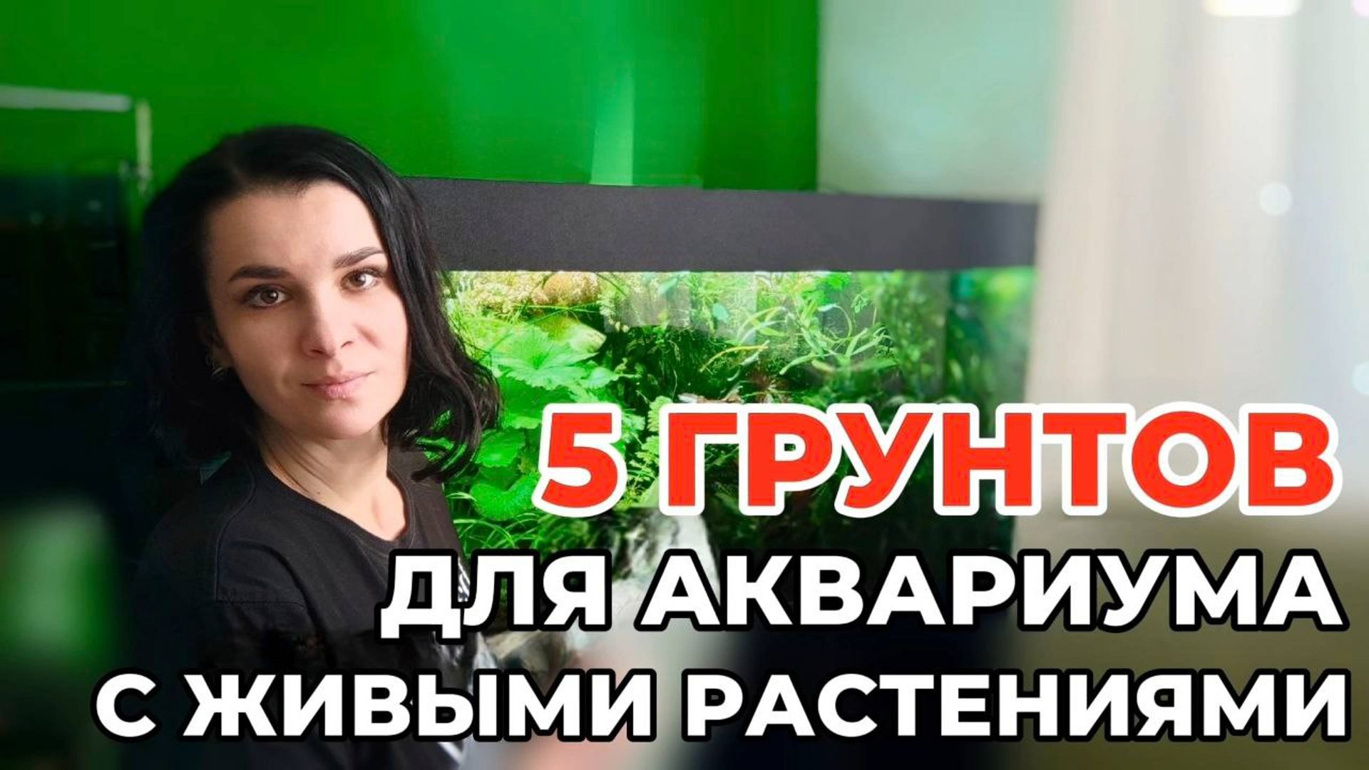 Грунты для аквариума с живыми растениями смотреть онлайн