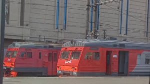 Как объявляют поезда на Московском вокзале Санкт-Петербурга