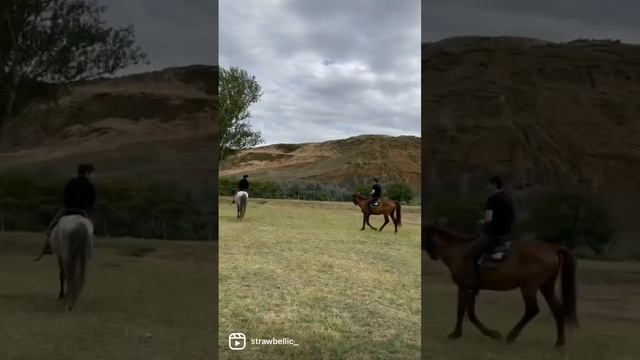 Барханы💜. #webdesign #dagestan #freelance #graphic #природа #эстетика #сайт #мебель #кухни смотреть онлайн