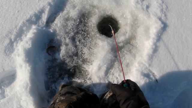 Рыбалка на окуня! На водохранилище! нашел раколовки.