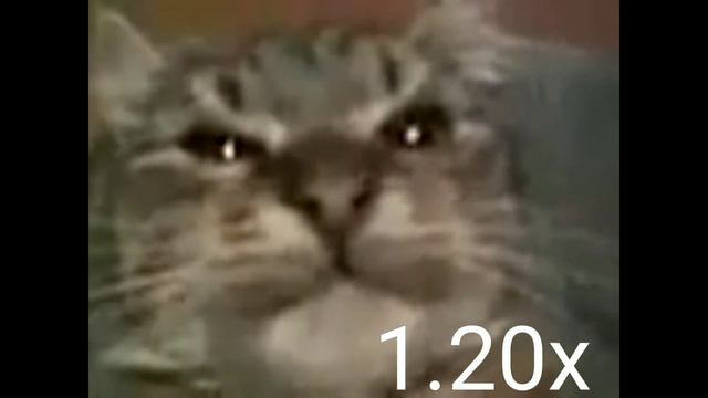 Кит Ты Маму Мав? 999x (DONTFAKE) смотреть онлайн