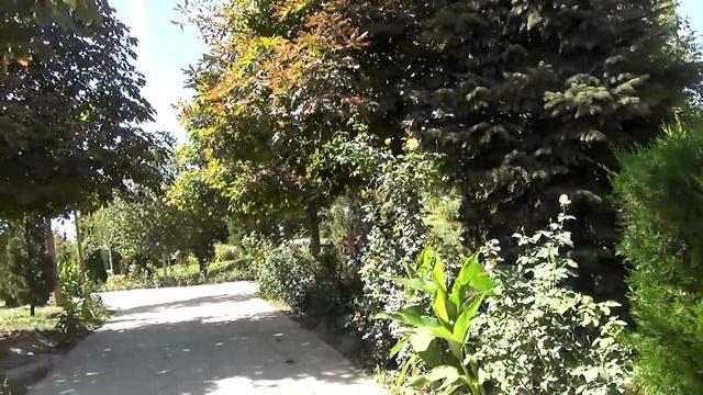 Душанбе. Сердце Душанбе. смотреть онлайн