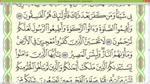 Шейх Айман Сувейд сура Ан Нур стр 357