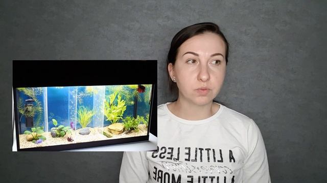 Биология. Эволюция поведения животных. Почему чайки прячут скорлупу после вылупления птенцов? смотреть онлайн