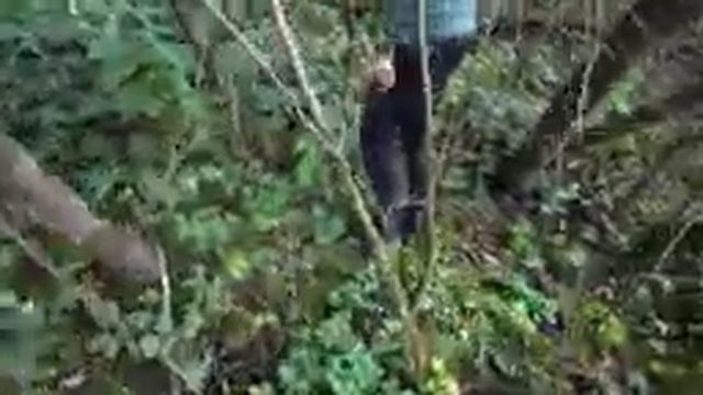 РЕКА НОЛЯ. СНОВА ПОШЛО НЕ ТАК смотреть онлайн