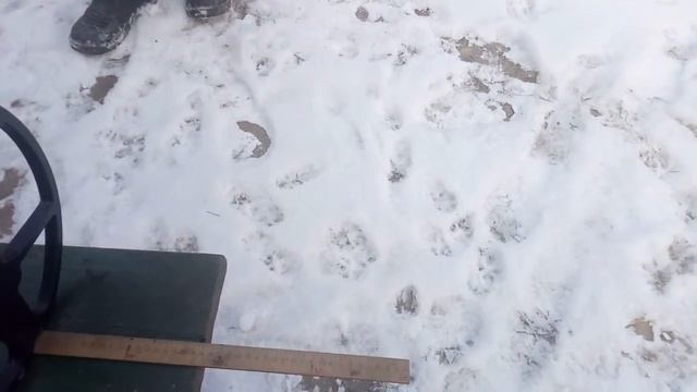 Golden Mask4 - RedGold-5коп ссср воздух смотреть онлайн