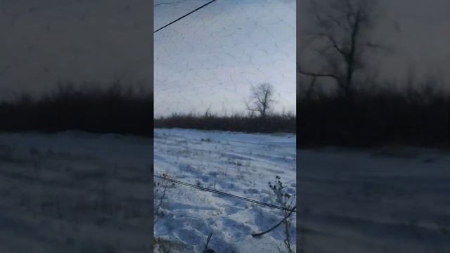 Ловля певчих птиц щегол снегирь 05.02.2023 смотреть онлайн