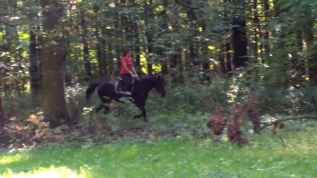 Феня рысь смотреть онлайн