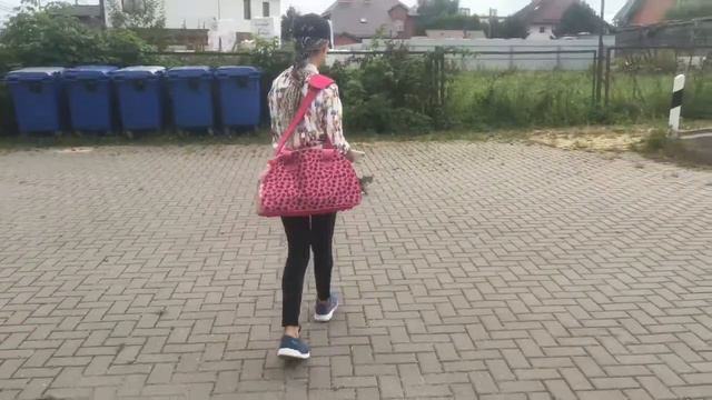 КСК Конкорд | Соревнования | 🥈 смотреть онлайн