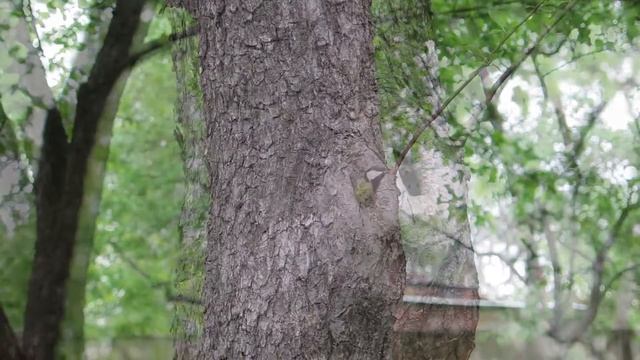 Синички на даче смотреть онлайн