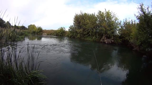 облов 7 метрового омута, и 11 метровый карст смотреть онлайн