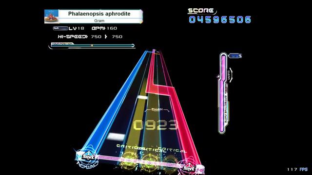 【K-Shoot MANIA】Phalaenopsis aphrodite [MXM 17] смотреть онлайн
