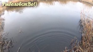 Спиннинг на Северском Донце!