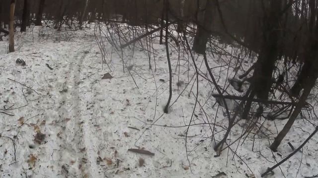 ЗАЧЕМ квартальный столбик в лесу / Что за цифры на столбиках в лесу смотреть онлайн