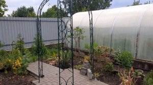 РОЗА ДЖАЗ//Rosa Jazzz. Монопосадка 15 06.2023