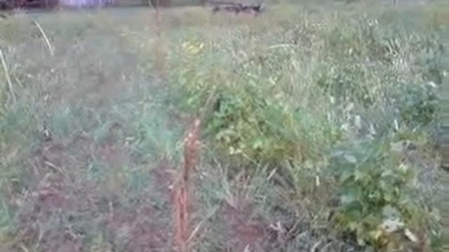 drathar смотреть онлайн
