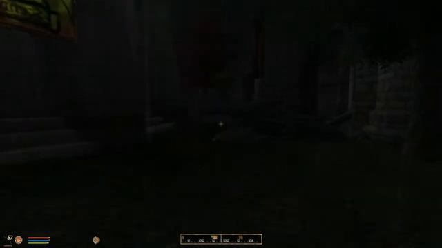 The Elder Scrolls IV: Oblivion #9 [Нулевая видимость и неистовая слежка ツ] смотреть онлайн