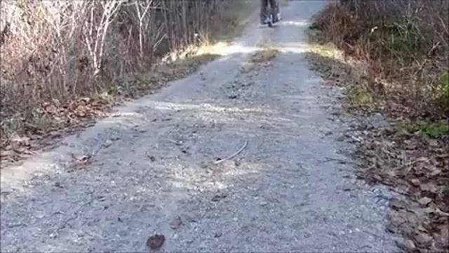 Эта мото собака полезна в любое время года смотреть онлайн