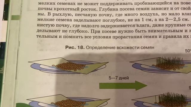 Биология/6 класс/ Всхожесть семян,правила их посева/22.11.20