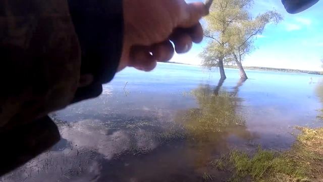 Судак на Оби жадно хватает живца. Задача выполнена, судак пойман! смотреть онлайн