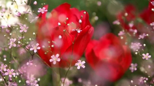 ГАЯТРИ МАНТРА - исполняет Дева Премал смотреть онлайн