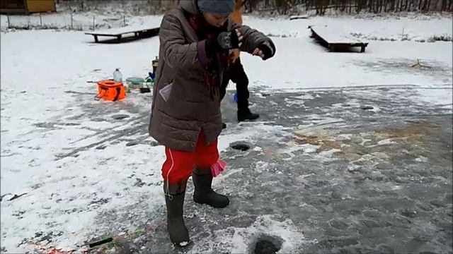 Праздничные поимки форели продолжаются. Клёвое место, Верхний пруд. смотреть онлайн