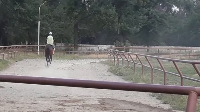 Майская роща смотреть онлайн