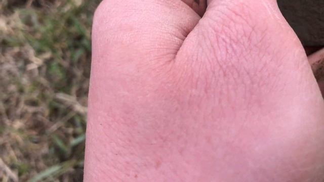 Коп 2022 в Омской области смотреть онлайн