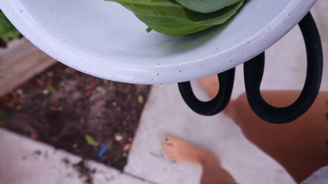 Кулинарные шедевры с Ириной