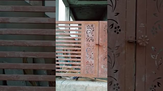 House Main Gate Design, Gate decoration ideas, Front door design. # Decoration #Door #design #Gate смотреть онлайн